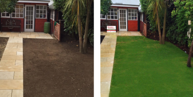 Turfing Guildford